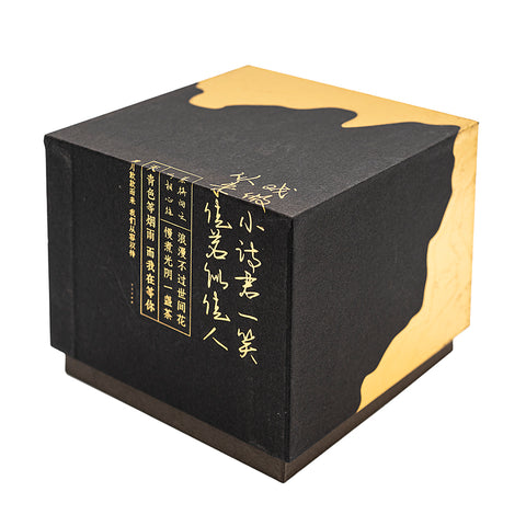 Xiao Xishi yixing clay woodfired teapot # 95617