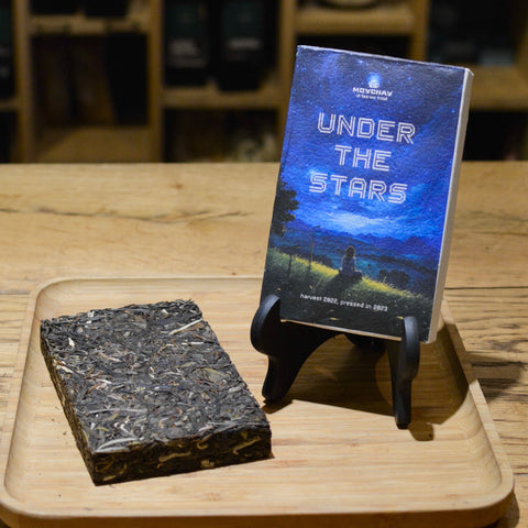 Under The Stars Sheng Puer (Harvest 2022, pressed in 2023)
