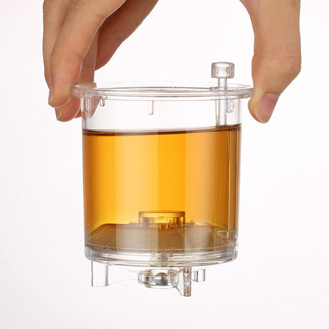 Tetera de vidrio Easy Gongfu de 500ml con infusor para preparación rápida de té # 32211