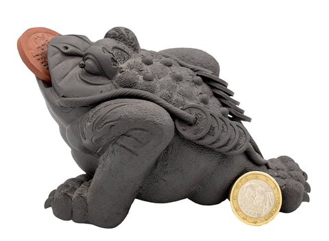Lucky Toad with the Coin # 91364