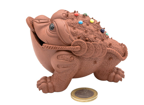 High-backed golden toad # 91365