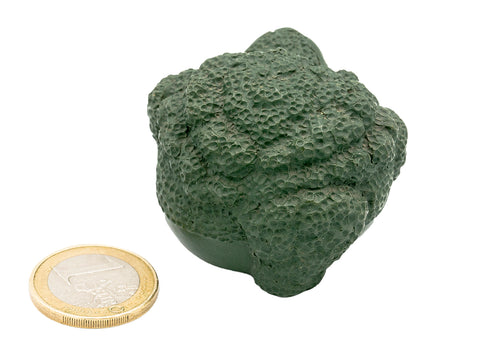 Fortune Golden Toad # 91376