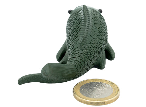 Il y a des poissons chaque année (paire) # 91378