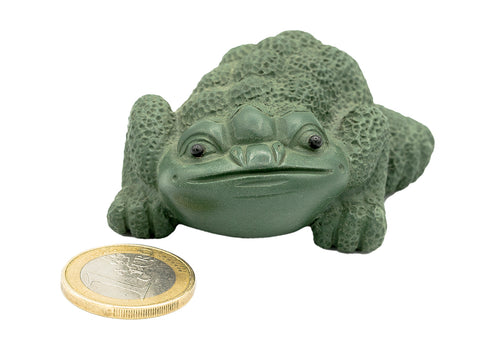 High-backed golden toad # 91380