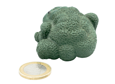 High-backed golden toad # 91380