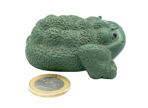 High-backed golden toad # 91380