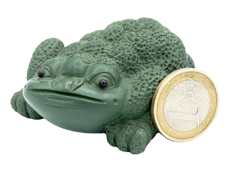 High-backed golden toad # 91380