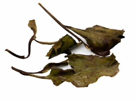 Shou Mei Bai Cha White Tea, 15g