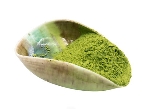 Chiran Sencha powder