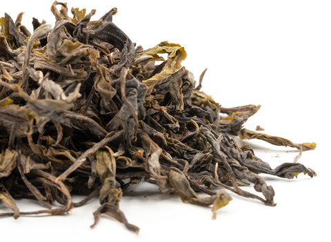 Sheng puer vietnamita da antichi alberi del tè