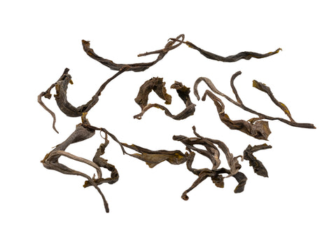 Sheng puer vietnamita da antichi alberi del tè