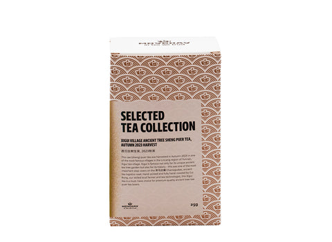 Thé Sheng Puer de l'arbre ancien du village de Xigui, récolte d'automne 2023, 25g