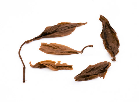Té Sheng Puer de árbol antiguo de la aldea Xigui, cosecha de otoño 2023, 25g