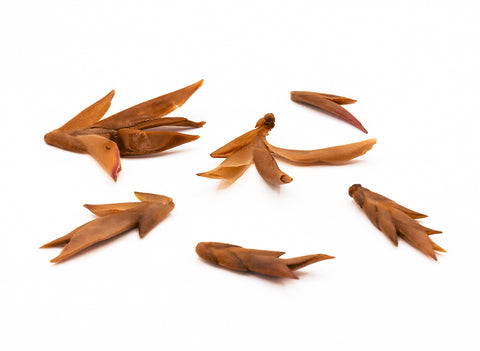 Ziya, bourgeons violets de théier sauvage de Lincang, 45g