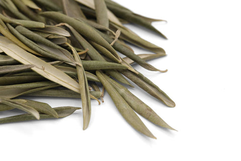 Olive leaf herbal tea