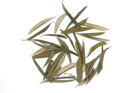 Olive leaf herbal tea