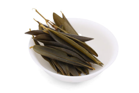 Olive leaf herbal tea