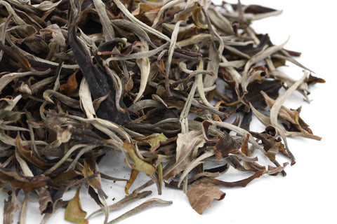 Thai Assam white tea from the old tea trees, Thailand, by Tea forest project