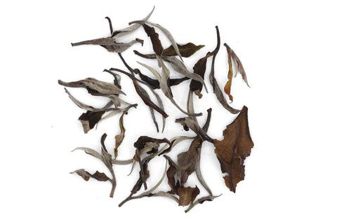 Thai Assam white tea from the old tea trees, Thailand, by Tea forest project