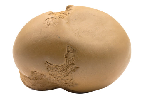 Hatched Chicken  Teapet # 91081