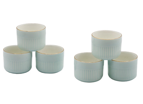 Draagbare reistheeset met blauwe zijgreep theepot # 93451