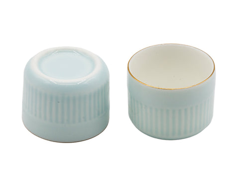 Draagbare reistheeset met blauwe zijgreep theepot # 93451