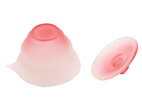 Gaiwan # 93349, 170 ml