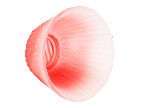 Tea cup # 93380, 55 ml