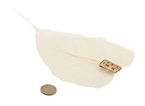 Natural Bodhi Leaf Tea filter # 93227