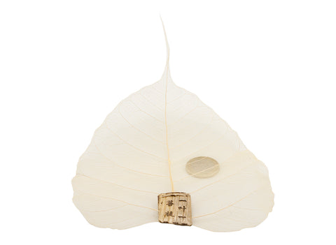 Natural Bodhi Leaf Tea filter # 93227