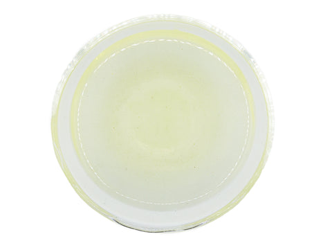 Hoshino Sencha Tsuyuhikari