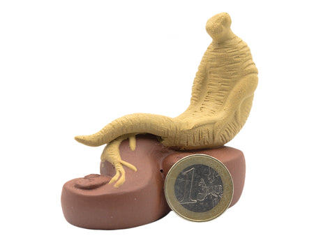 Good luck in life Teapet # 91169