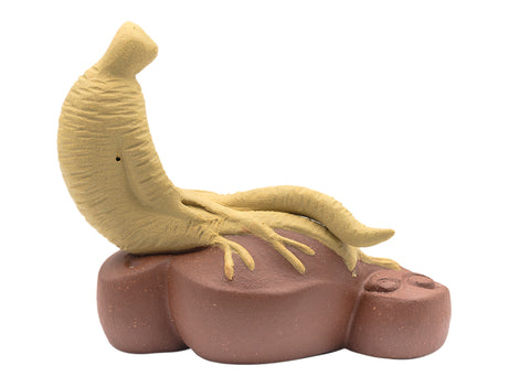 Good luck in life Teapet # 91169