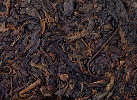 Chan Cha Yi Wei (2005), aged sheng puer