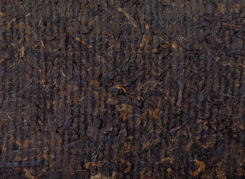 Zaochen Xiang Banshu Zhuan (1995), aged shu puer