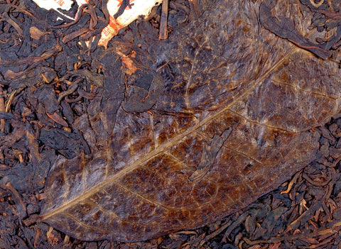 Mengku Yuanshi Sheng Cha (2005), alter Sheng Puer