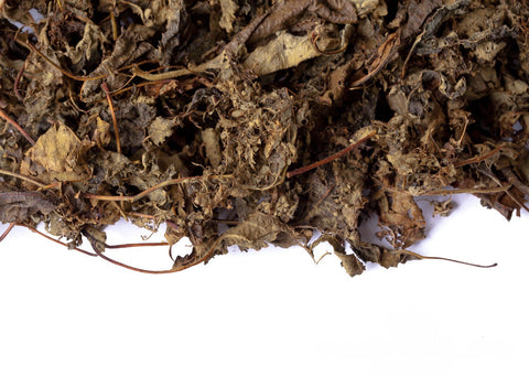 Fermented apple tree leaf