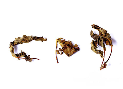 Fermented apple tree leaf
