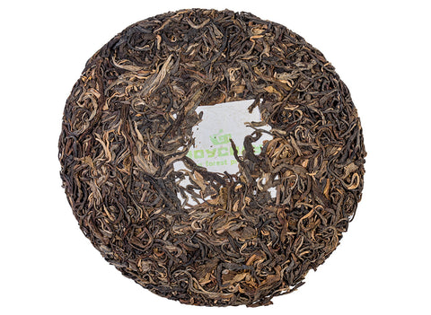 Wilde bomen Sheng Puerh-thee. Theebosproject in Thailand (voorjaar 2023)