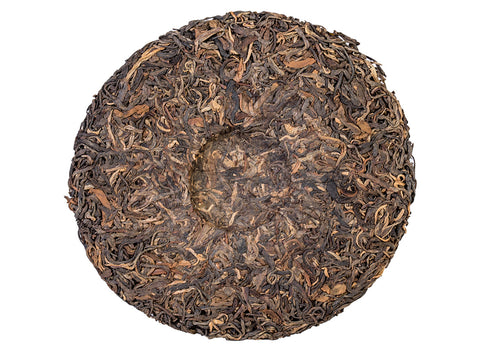 Wilde bomen Sheng Puerh-thee. Theebosproject in Thailand (voorjaar 2023)