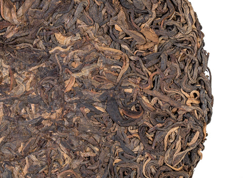 Wilde bomen Sheng Puerh-thee. Theebosproject in Thailand (voorjaar 2023)