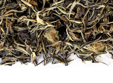 Thai White Tea from wild trees (Spring 2024)