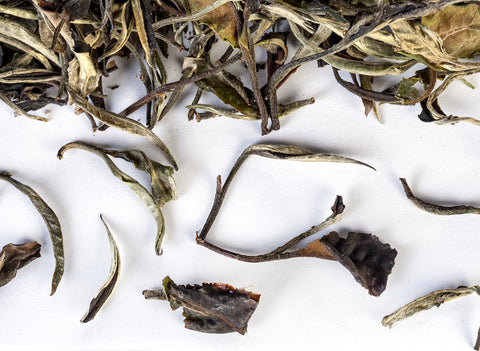 Thai White Tea from wild trees (Spring 2024)