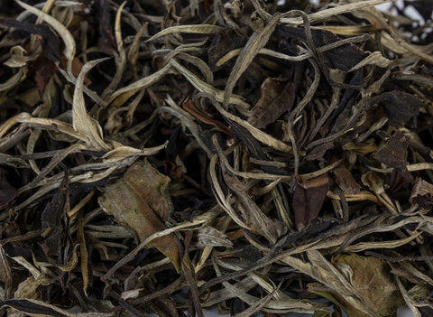 Thai White Tea from wild trees (Spring 2024)