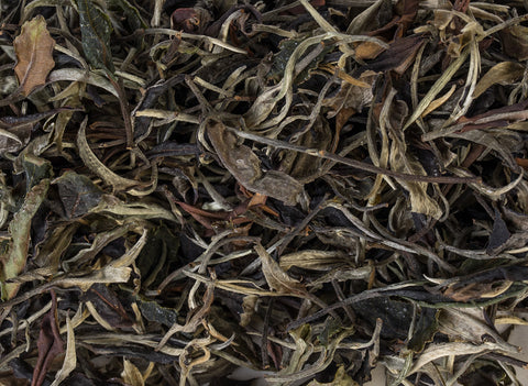 Thai White Tea from wild trees (Spring 2024)