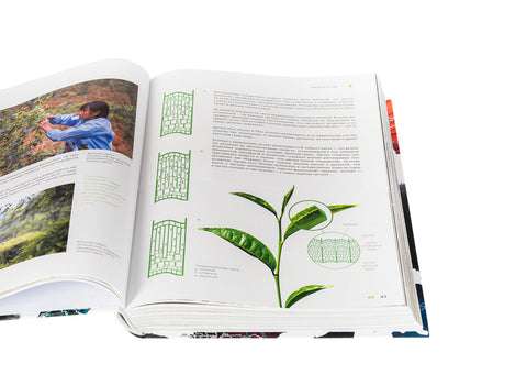 "Geografie van Chinese thee" Sergey Shevelev (editie in het Russisch)