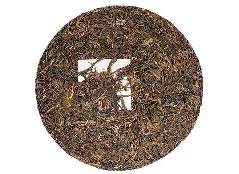 Jingmai Sheng Cha, 2022