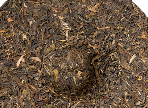 Jingmai Sheng Cha, 2022