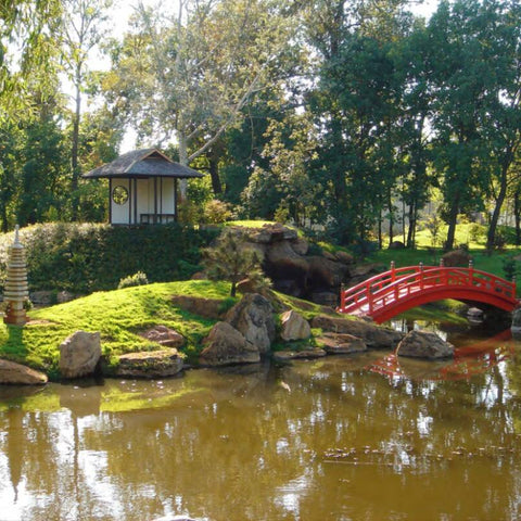 Die Kunst des japanischen Gartendesigns | 22. Januar | 18:30