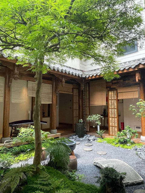 🌿 Grüne Tischzeit: Geschichten von Zuhause bei Tee | 25. Januar | 18:00